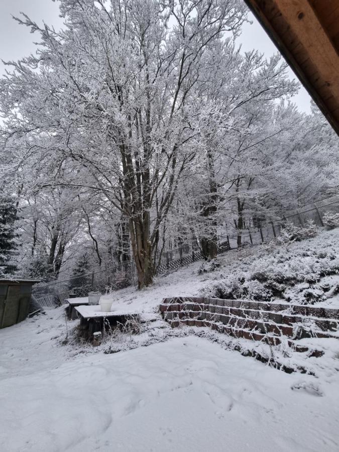 Ferienwohnung Schneeberg Stryck Eksteriør bilde